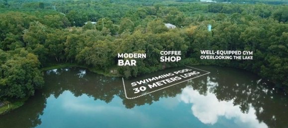  Commercial property in Phang Nga, Thailand No. 11699 6