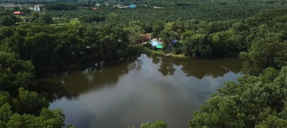  Commercial property in Phang Nga, Thailand No. 11699 3