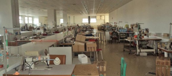 5230m² Property in Chalkidiki, Greece No. 8010 4