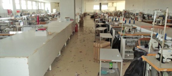 Property في Chalkidiki, Greece 5230متر مربع رقم 8010 6