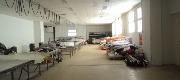 Property في Chalkidiki, Greece 5230متر مربع رقم 8010 7