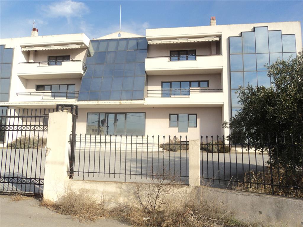 5230m² Property in Chalkidiki, Greece No. 8010