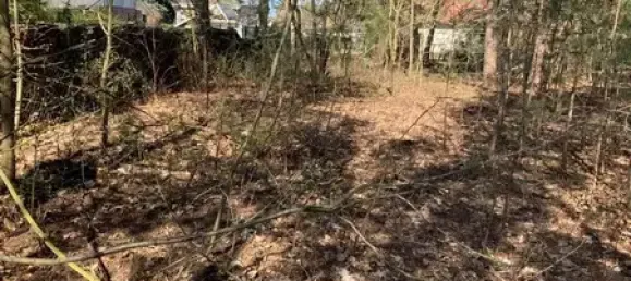 Terrain à Muggelheim, Germany No. 58258 4