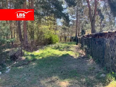 Terrain à Muggelheim, Germany No. 58258