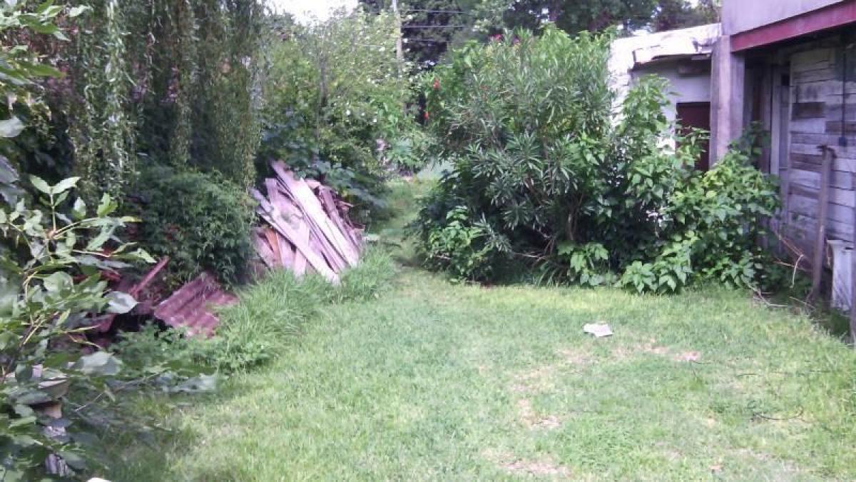  Land in Campo Creado, Argentina No. 42260