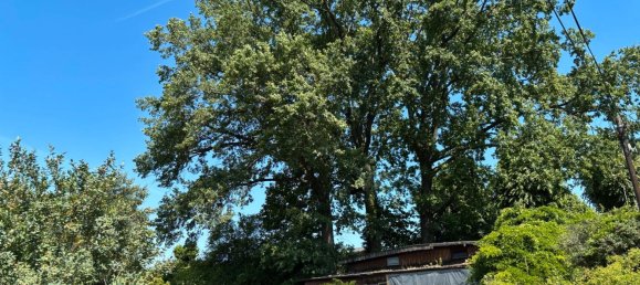 Terreno en Charlottenburg, Germany No. 352711 8