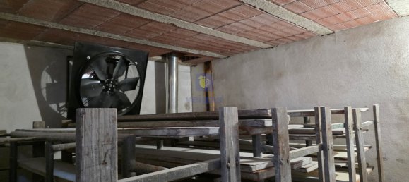 Grundstück in Gaeiras, Portugal 303m², Nr. 346024 11