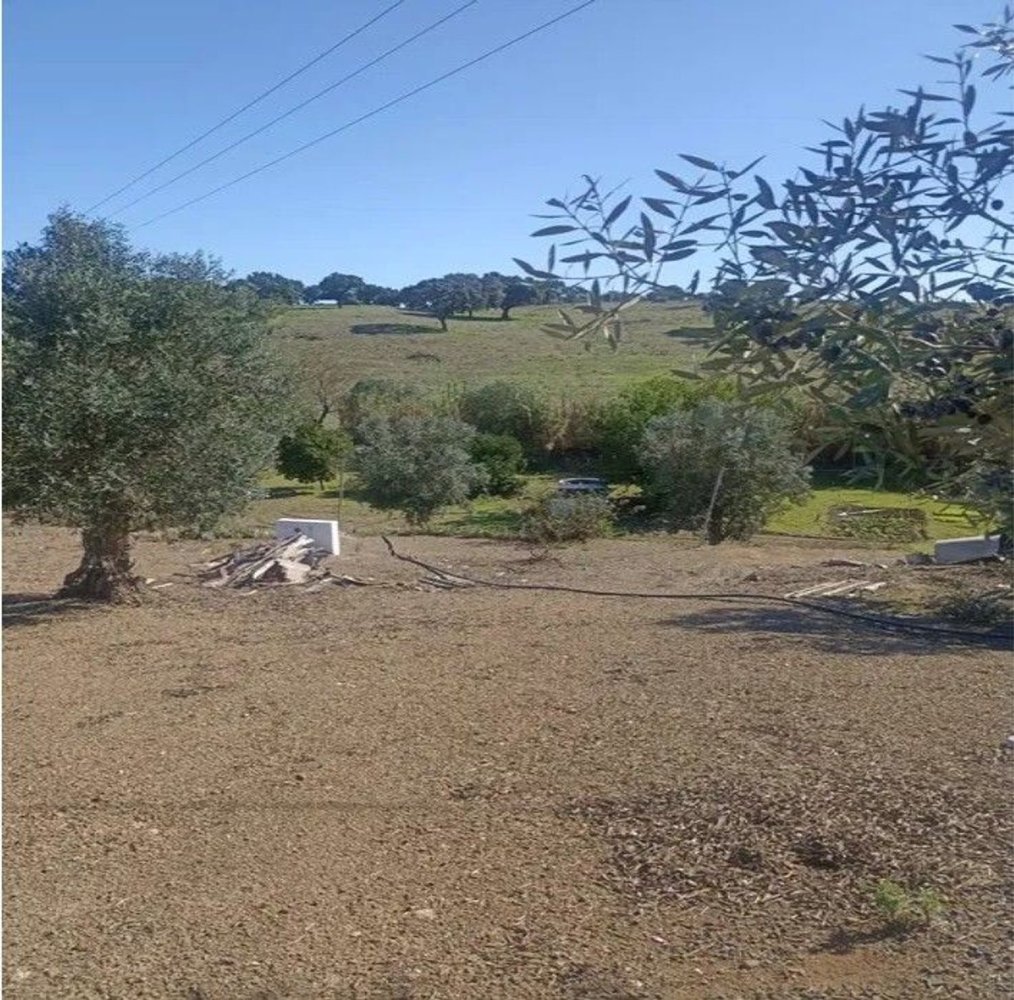  Land in Cabrela, Portugal No. 340600