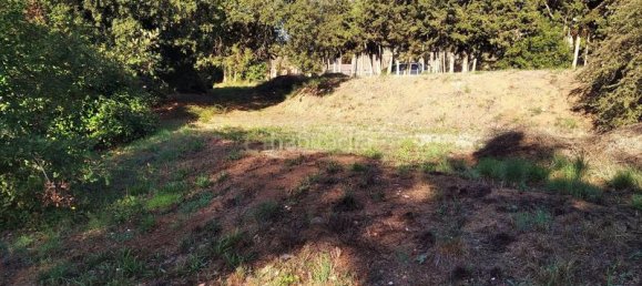 Grundstück in Sant Pere de Vilamajor, Spain 1254m², Nr. 157621 21