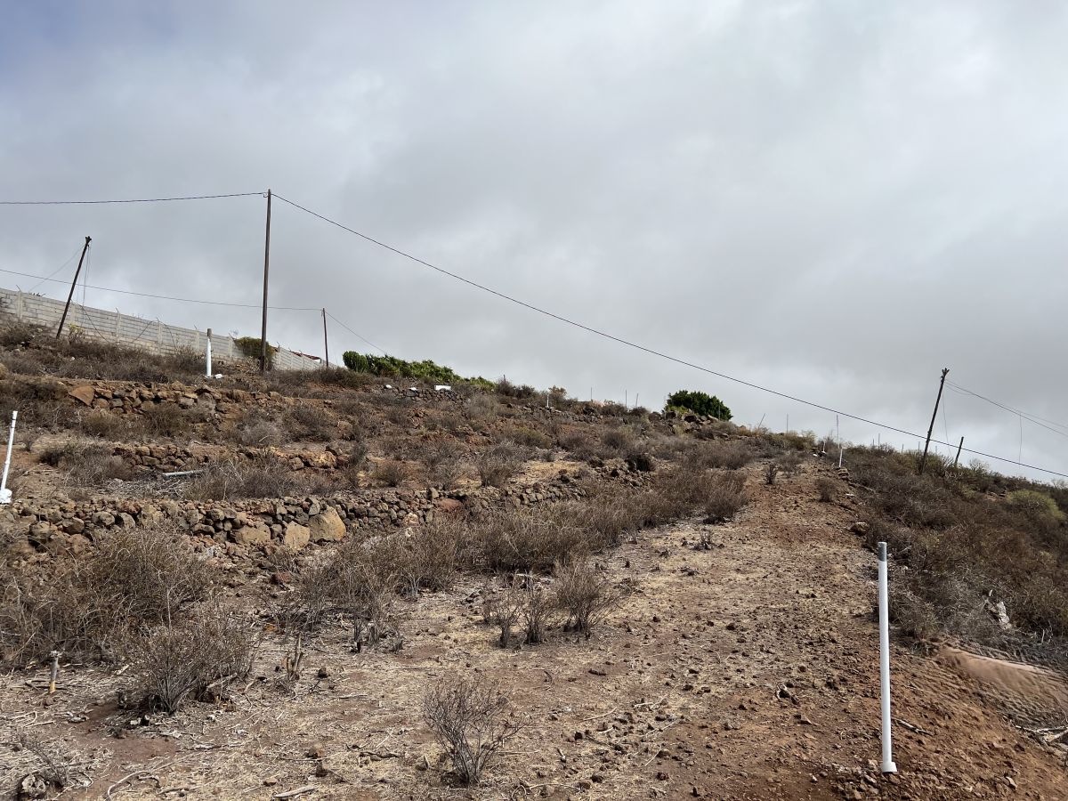 Terreno em Santa Cruz de Tenerife, Spain N.º 105967