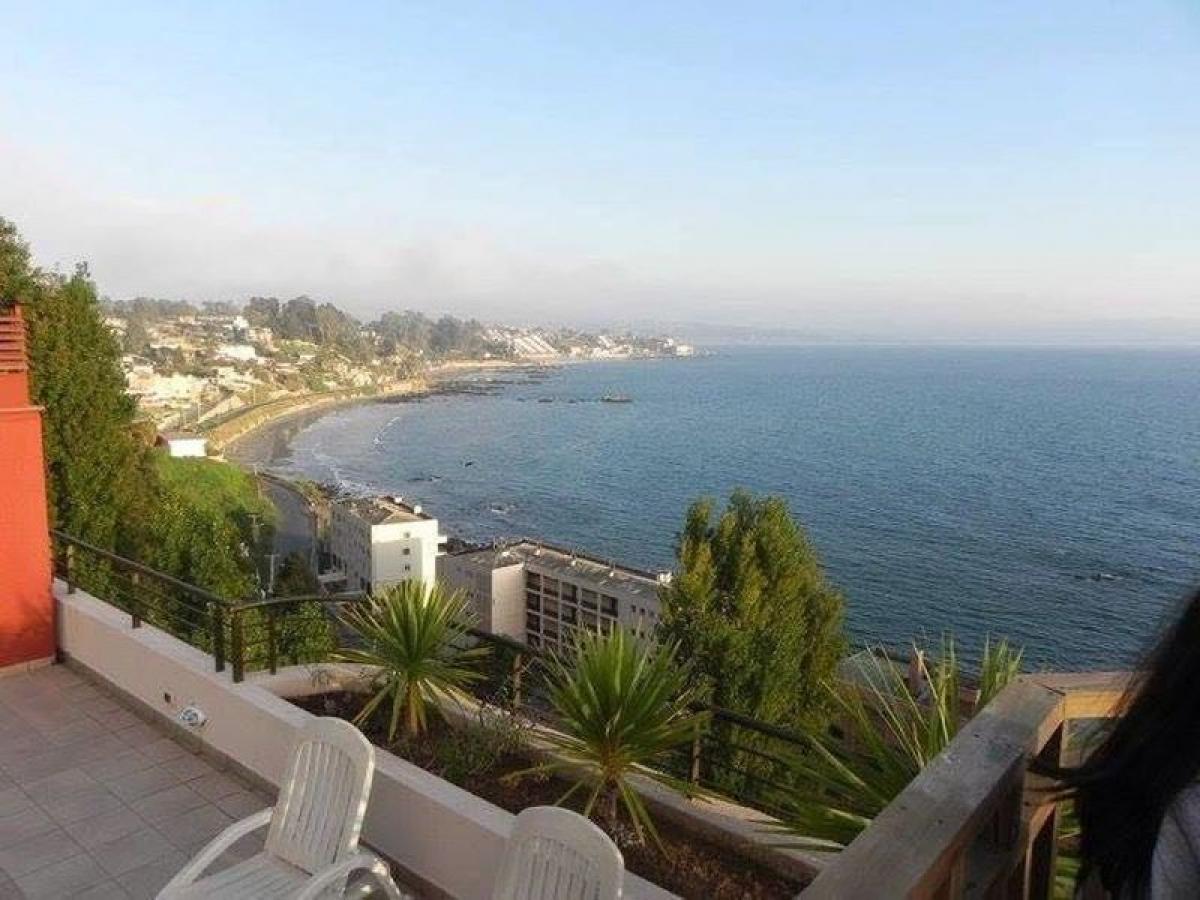 Studio in Valparaiso, Chile No. 1830