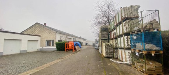 667m² Warehouse in Saarpfalz, Germany No. 73797 2