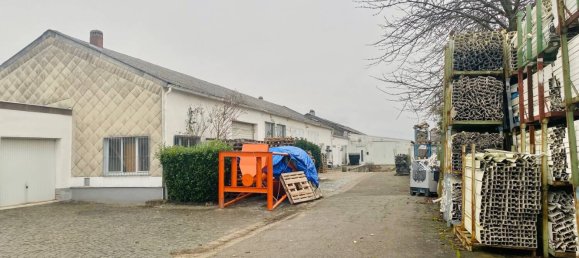 667m² Warehouse in Saarpfalz, Germany No. 73797 3