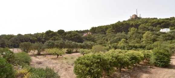 Вилла с 5 спальнями в Сардиния, Италия № 326333 10