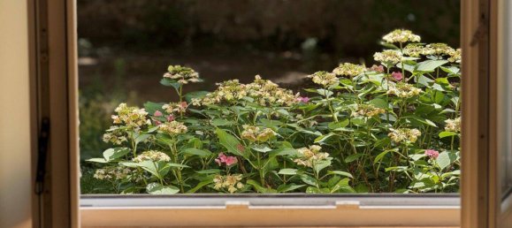 3غرفة شقة في Wieden, Austria رقم 237596 5