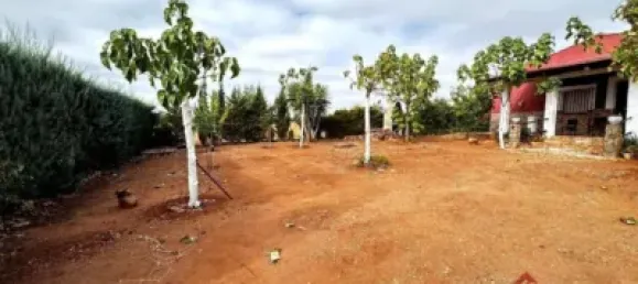 2 bedrooms House in Almendralejo, Spain No. 142460 19