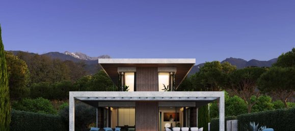 12 bedrooms Villa in Forte dei Marmi, Italy No. 69376 12