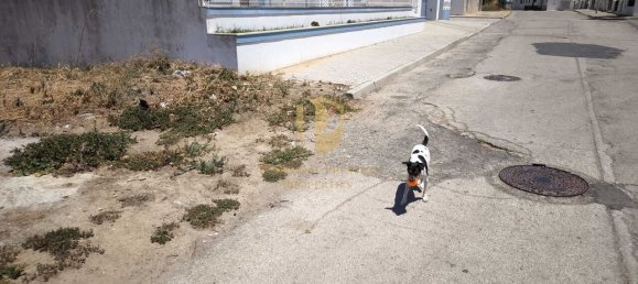  قطعة أرض في Vila Nova de Cacela, Portugal رقم 145437 29