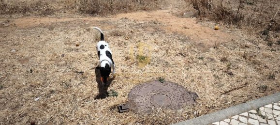  قطعة أرض في Vila Nova de Cacela, Portugal رقم 145437 15