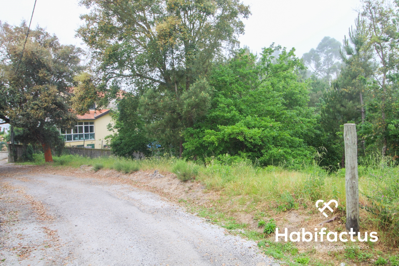 Grundstück in Viseu, Portugal, Nr. 64927