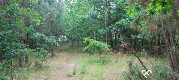 Grundstück in Viseu, Portugal, Nr. 64927 5