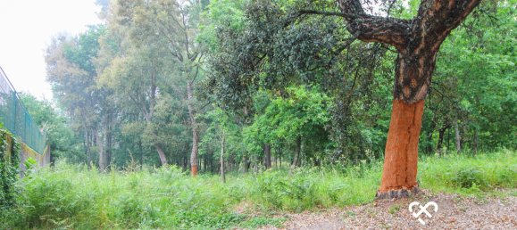 Grundstück in Viseu, Portugal, Nr. 64927 2