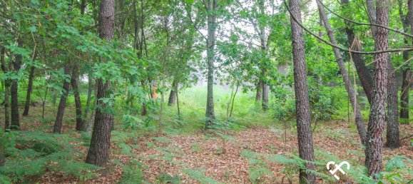 Grundstück in Viseu, Portugal, Nr. 64927 6