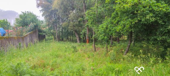 Grundstück in Viseu, Portugal, Nr. 64927 3