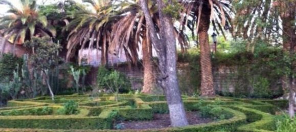 Studio in Guanajuato, Mexico, Nr. 168971 2