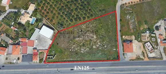 28m² Land in Almancil, Portugal No. 145123 7