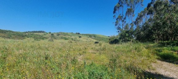 Grundstück in Mafra, Portugal 136832m², Nr. 81715 3