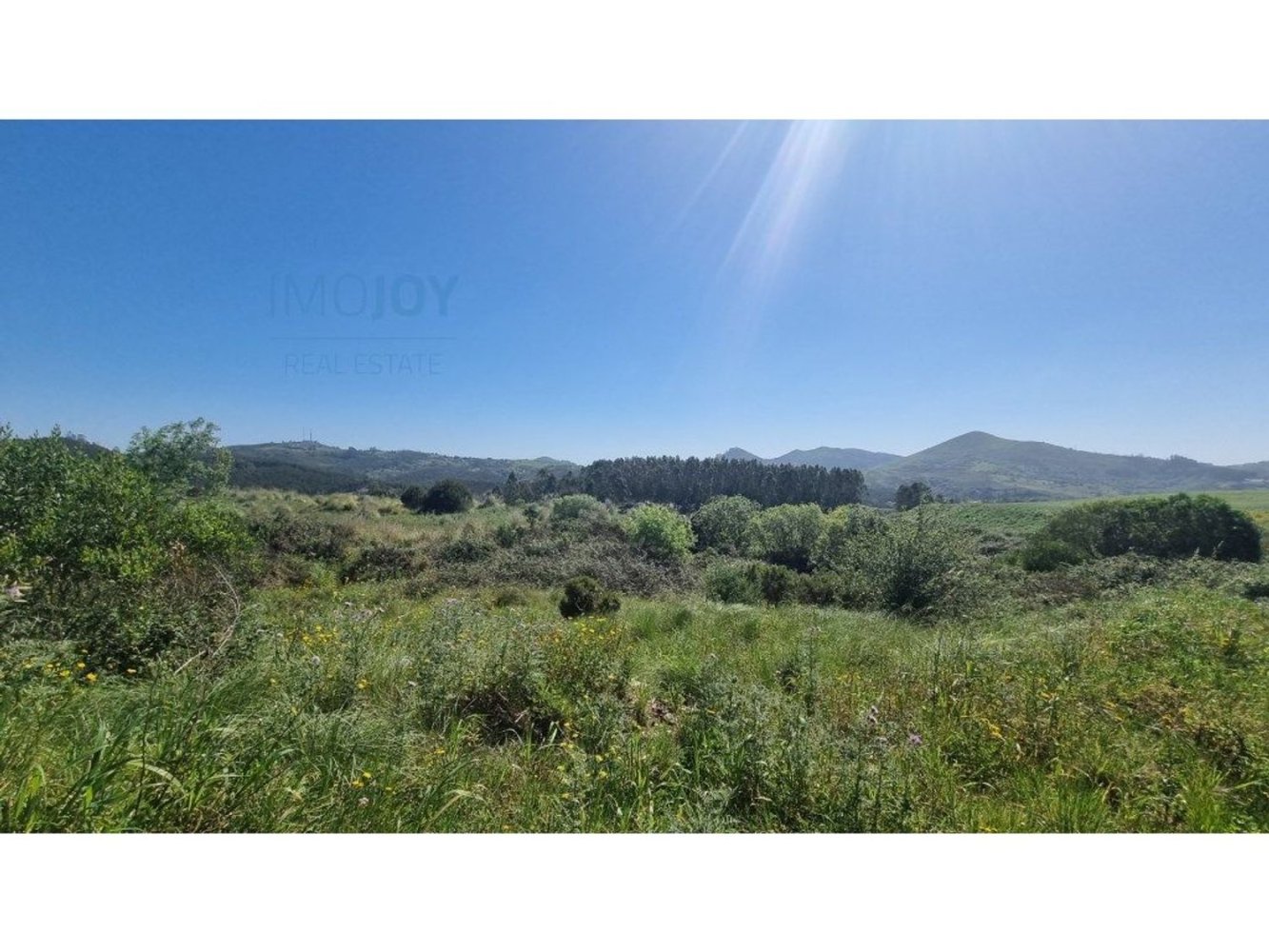 Grundstück in Mafra, Portugal 136832m², Nr. 81715