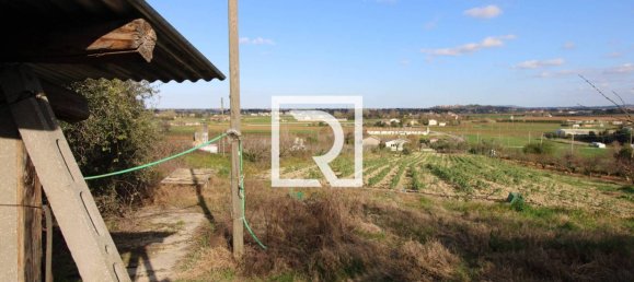 290m² Warehouse in Savignano sul Rubicone, Italy No. 220145 20