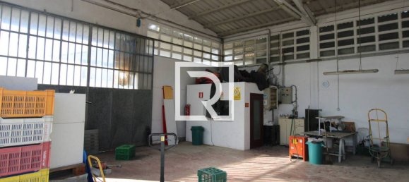 290m² Warehouse in Savignano sul Rubicone, Italy No. 220145 5