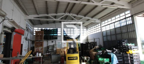 290m² Warehouse in Savignano sul Rubicone, Italy No. 220145 8