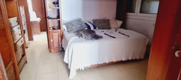 459m² Building in Cadiz, Spain No. 148077 17