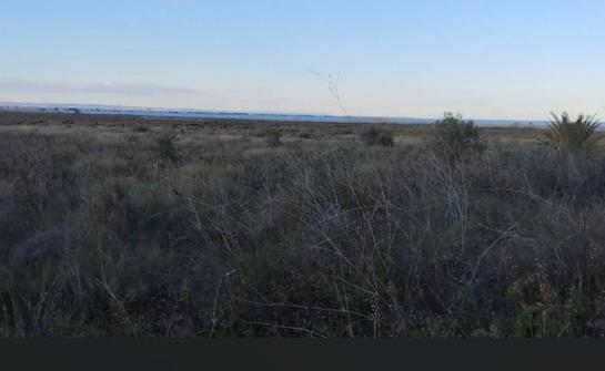 Grundstück in Cartagena, Spain 75000m², Nr. 160540