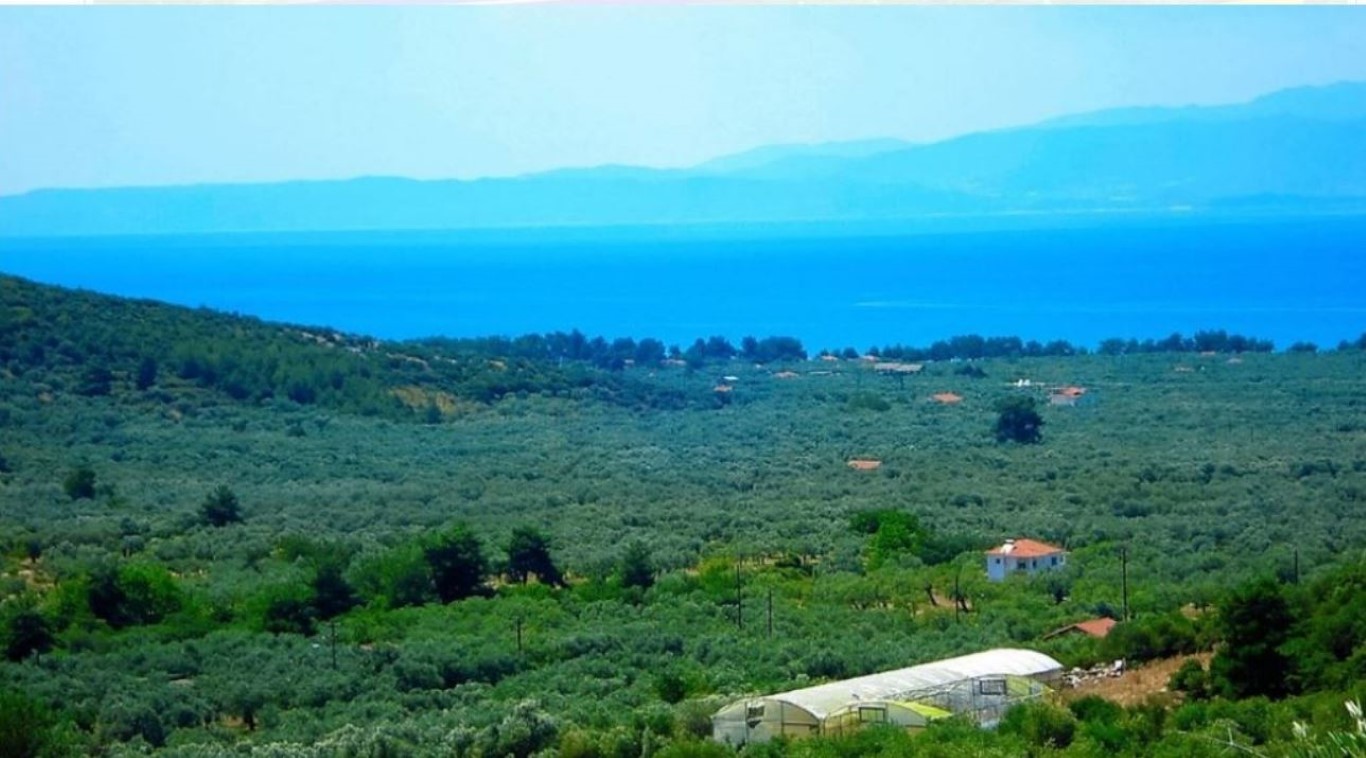 25000m² Hotel in Thasos, Greece No. 4929