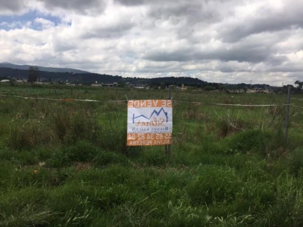 Земельный участок в Окойоакак, Мексика № 204319