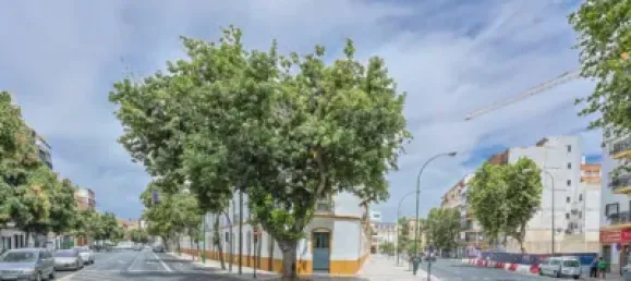 Apartamento T1 em Andalusia, Spain N.º 138062 31