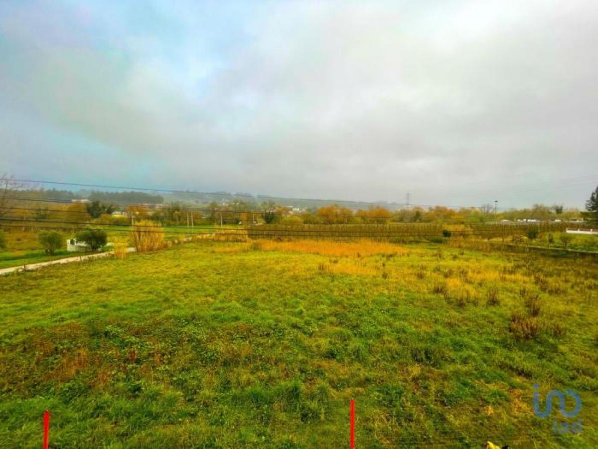 Grundstück in Leiria, Portugal, Nr. 2273