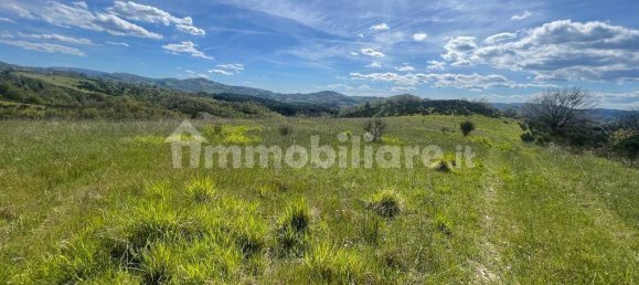 1 room Commercial property in Gualdo Tadino, Italy No. 143921 6