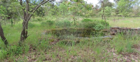 1 Schlafzimmer Haus in Penamacor, Portugal, Nr. 63141 25