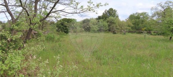 1 Schlafzimmer Haus in Penamacor, Portugal, Nr. 63141 26