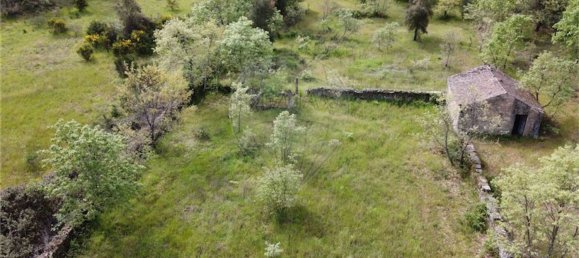 1 Schlafzimmer Haus in Penamacor, Portugal, Nr. 63141 2