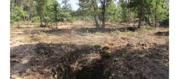 1 Schlafzimmer Haus in Penamacor, Portugal, Nr. 63141 15