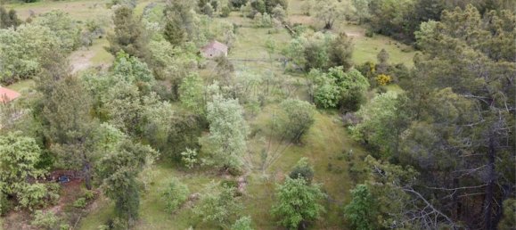 1 Schlafzimmer Haus in Penamacor, Portugal, Nr. 63141 23