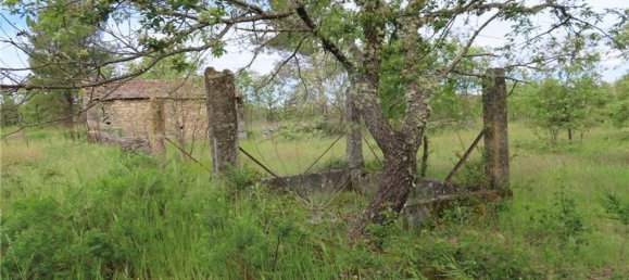 1 Schlafzimmer Haus in Penamacor, Portugal, Nr. 63141 5