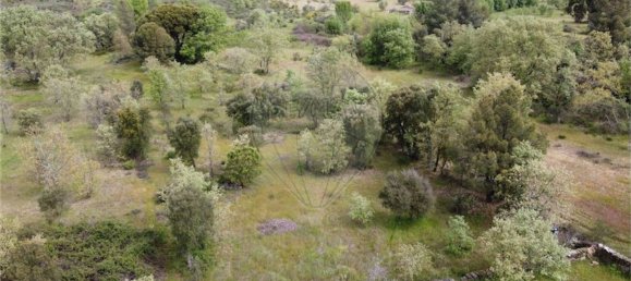1 Schlafzimmer Haus in Penamacor, Portugal, Nr. 63141 22