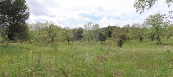1 Schlafzimmer Haus in Penamacor, Portugal, Nr. 63141 36